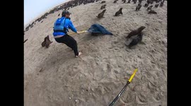 Kayakers use special net to catch and release seals caught in wires on Namibian beach