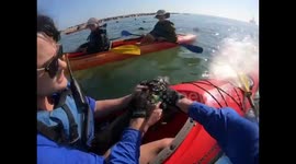 Kayakers save helpless seal pup entangled in netting off Namibia