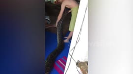 Sleeping Man Pranked With Python