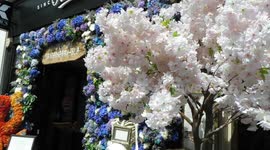 Fabulous floral displays outside shops to celebrate this year’s Chelsea Flower Show
