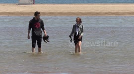 Dangerous flooding on Toronto beaches if Lake Ontario water levels continue to rise