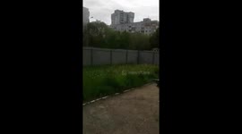 Fawn Bambi from the forest caught in a kindergarten in Russia