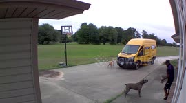 FedEx delivery man in Texas chased off porch by dogs