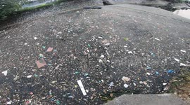The river is horribly contaminated! Tons of Garbage Covers the River