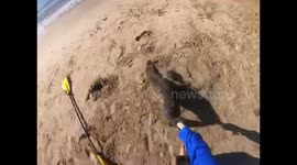 Namibian kayaker rescues distressed seal pup caught in netting