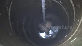 Firefighters rescue four-year-old trapped in well
