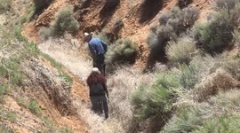 Newborn foal rescued from deep ravine in California mountains