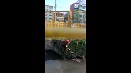 Passerby rescues drowning puppy from a canal in Manila