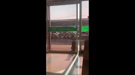 Stray Dog Cools Down With Shop's Air Con