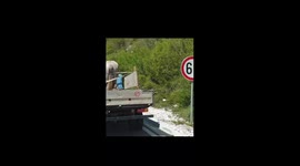 Man driving van with horse in the back