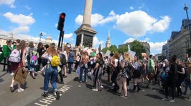 Youth strikes over climate change in London