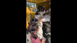 Scarily realistic giant cat sells snacks in Japan
