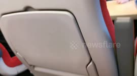 Bank Holiday Spirit On Train
