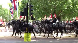 The Household Cavalry on the way back from The Major General Review of Trooping the Colour 2019 on 25 May