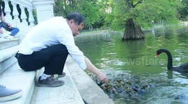 Animal abuse in the retiro park in Madrid, Spain