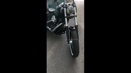 Harley