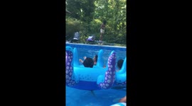 When you eat too many hamburgers and try to jump off the diving board