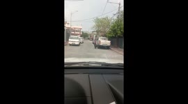 Wild Boar Goes Walk About