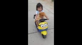 Girl Rides Toy Motorcycle With Pomeranian