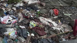 How life goes on in the middle of the garbage that lay along the banks of Musi River, Indonesia