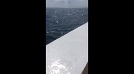 Spring 2019 Greek boat trip