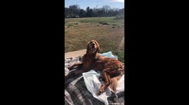 Rivers starting to sit up on his own