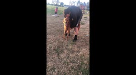 Rivers trying to stand