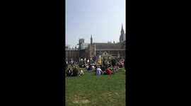 Extinction Rebellion 2019