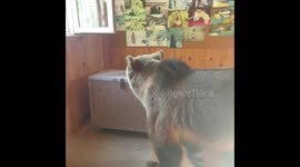 Semyon eating
