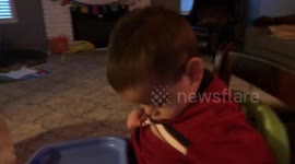 Dog eats toddler’s birthday dinner