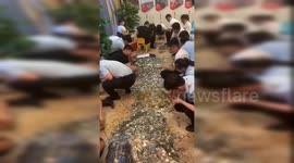 Chinese businessman uses 16 buckets of coins to pay for property