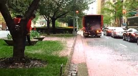 Cherry Blossom Cleanup