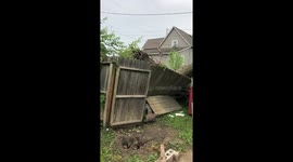 Our neighbors garage...in a tree