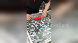 Mechanic uses hydrographics technique to apply printed designs onto car components