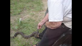 82 YEAR OLD RTIRED ZOO DIRECTOR VISITS WILD WATER SNAKE NAMED BIG BERTHA
