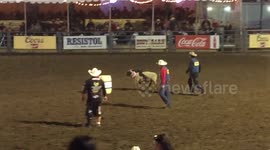 Crowd cheers as little girl clings to sheep at junior rodeo in California
