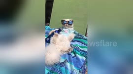 Newsflare Edit - Lounging by the Pool