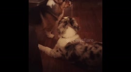 Play with me