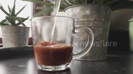 Vegan coffee