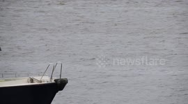 Heavy armed police heading down the river Thames London