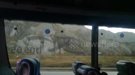 Amazing View Spain Bus