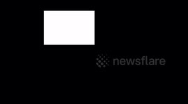 Glitch - Displacement map