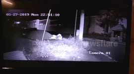 Rare Black Leopard captured in CCTV roaming in residential area in Southern India.