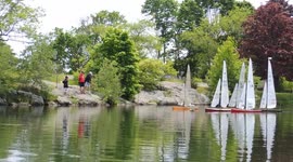 American Model Yachting Association Race