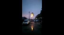 Coconut tree catches fires after lightning strikes