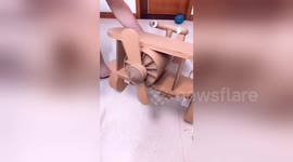 Newsflare Edit - 福州 手工达人用纸板为孩子做玩具
