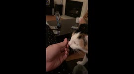 Why she duuumb?