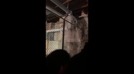 For real it felt like I was on the Titanic but I was on a bridge #GovBallNYC what a complete shit show lol https://t.co/PnR6kM6eAO