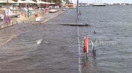 Toronto braces for more flooding as Lake Ontario water levels reach highest level in recorded history