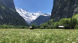 Stunningly calming view of Swiss meadows is awe-inspiring